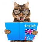 Cara Mudah Belajar Bahasa Inggris Anak SD Kelas 1